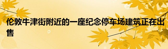 伦敦牛津街附近的一座纪念停车场建筑正在出售