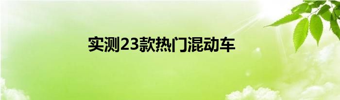 实测23款热门混动车