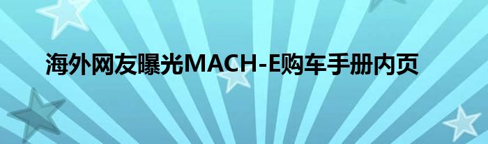 海外网友曝光MACH-E购车手册内页