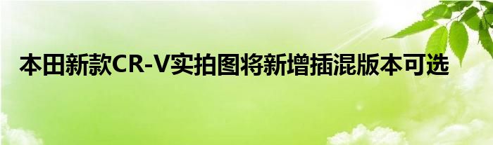 本田新款CR-V实拍图将新增插混版本可选