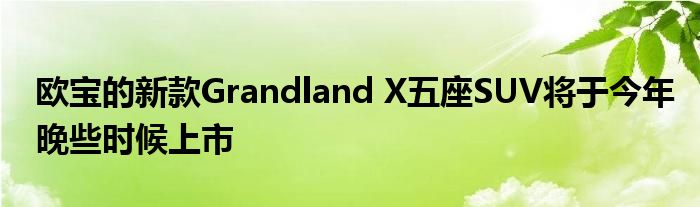 欧宝的新款Grandland X五座SUV将于今年晚些时候上市