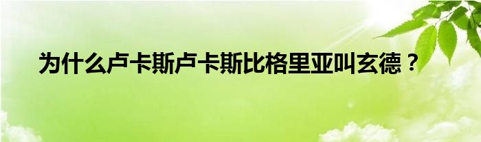 为什么卢卡斯卢卡斯比格里亚叫玄德？