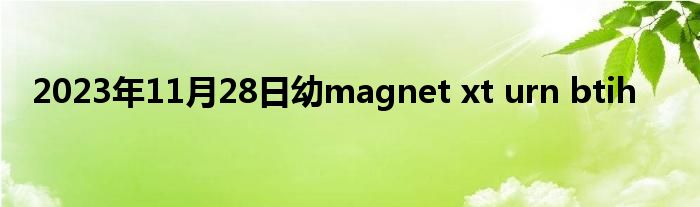 2023年11月28日幼magnet xt urn btih