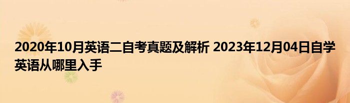 2020年10月英语二自考真题及解析 2023年12月04日自学英语从哪里入手