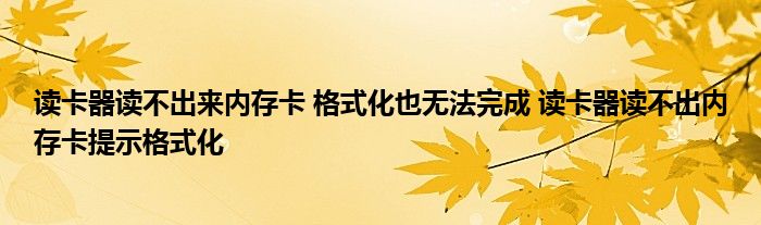 读卡器读不出来内存卡 格式化也无法完成 读卡器读不出内存卡提示格式化