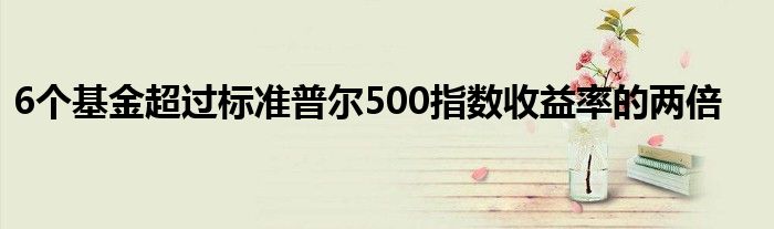 6个基金超过标准普尔500指数收益率的两倍