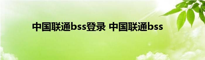 中国联通bss登录 中国联通bss