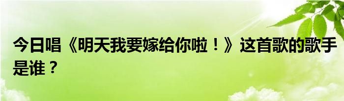 今日唱《明天我要嫁给你啦！》这首歌的歌手是谁？