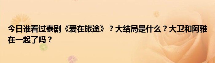 今日谁看过泰剧《爱在旅途》？大结局是什么？大卫和阿雅在一起了吗？