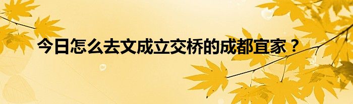 今日怎么去文成立交桥的成都宜家？