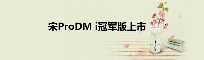 宋ProDM i冠军版上市